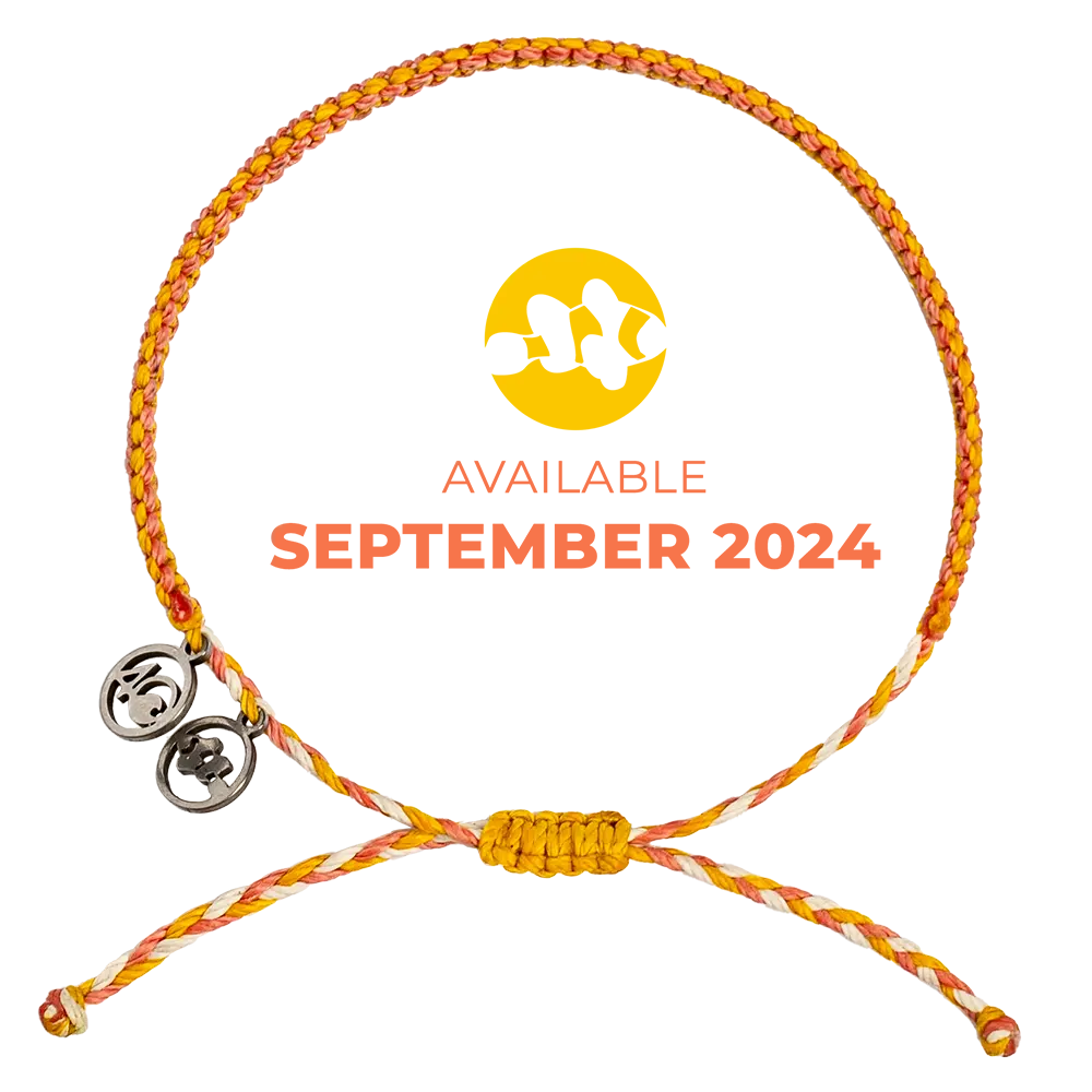 2024 Clownfish Bracelet | Limited Edition | 4ocean Bracelet of the Month - Image 2