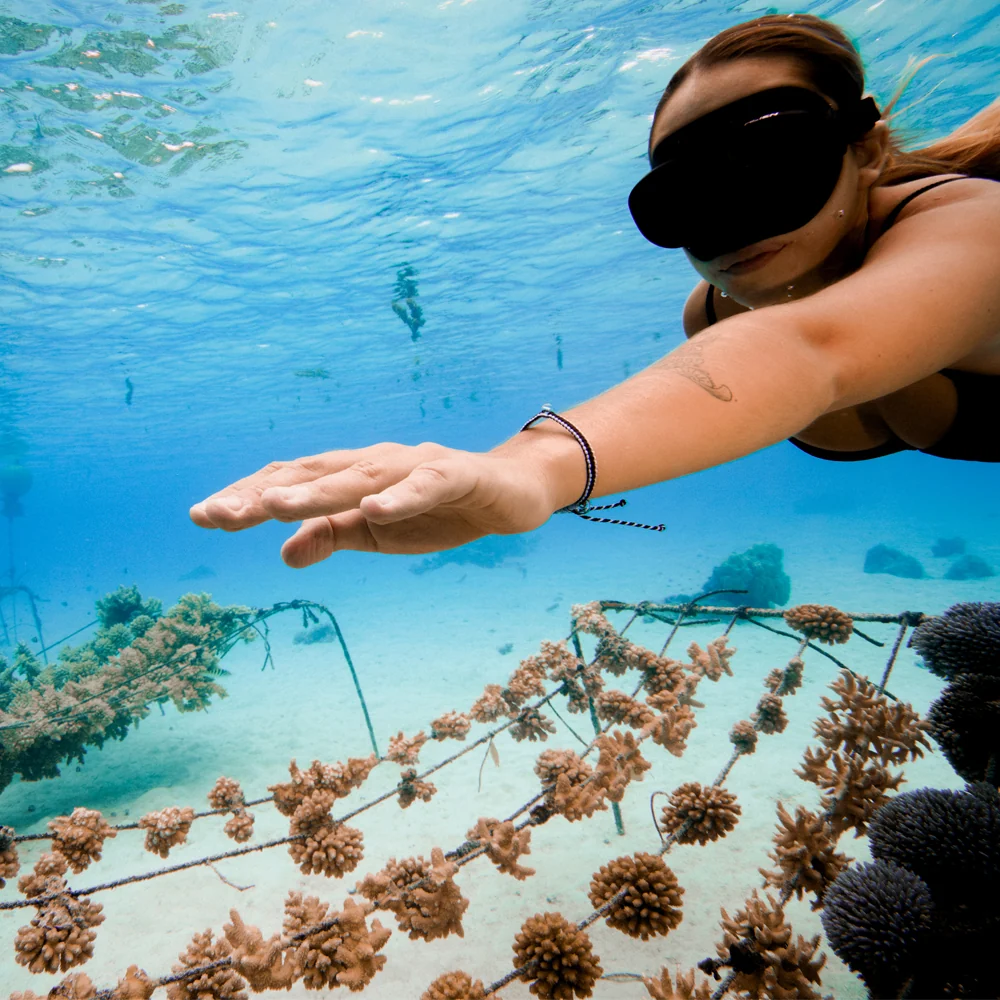 Coral Restoration Reef Safe Bracelet - Image 38
