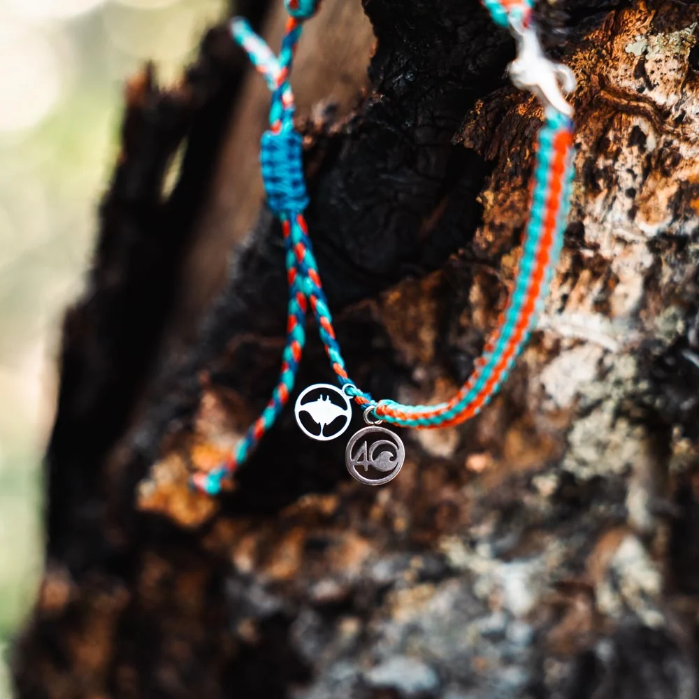 2025 Manta Ray Bracelet | Limited Edition | 4ocean Bracelet of the Month - Image 4
