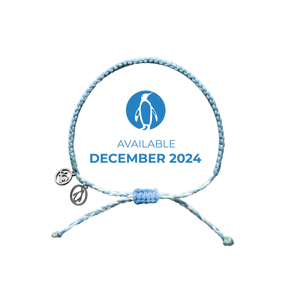2024 Penguin Bracelet | Limited Edition | 4ocean Bracelet of the Month - Image 2