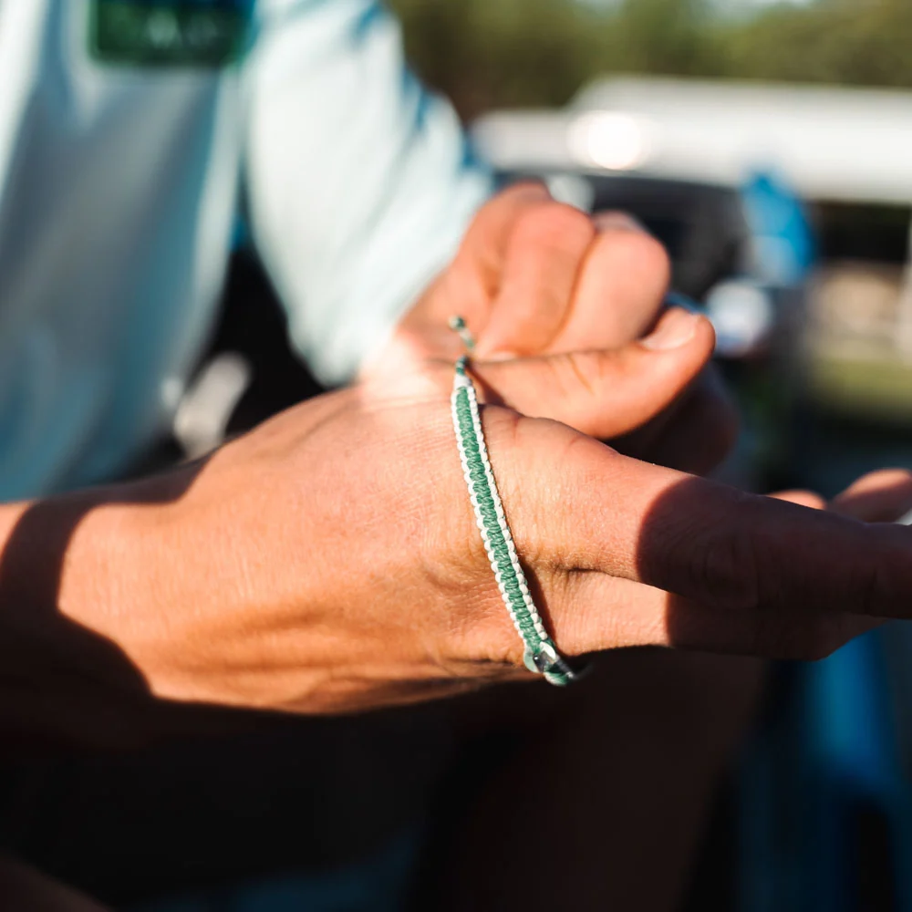 Mangrove Restoration Collection - Image 12