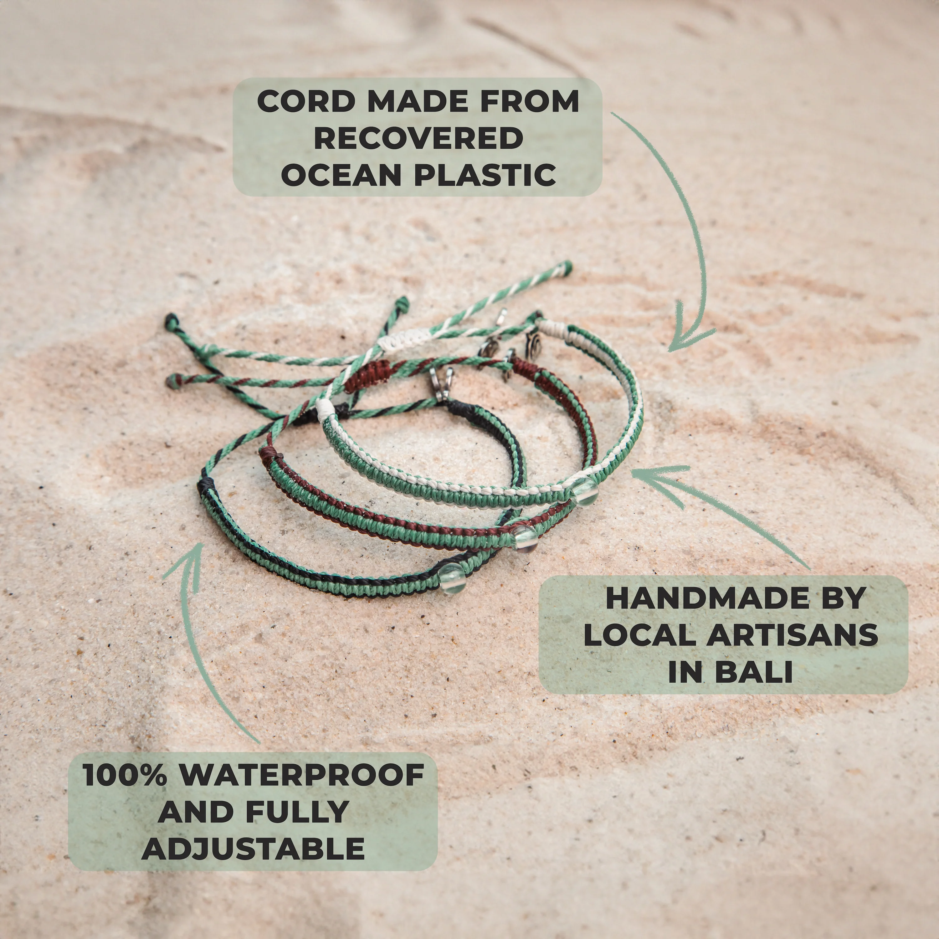 Mangrove Restoration Collection - Image 5