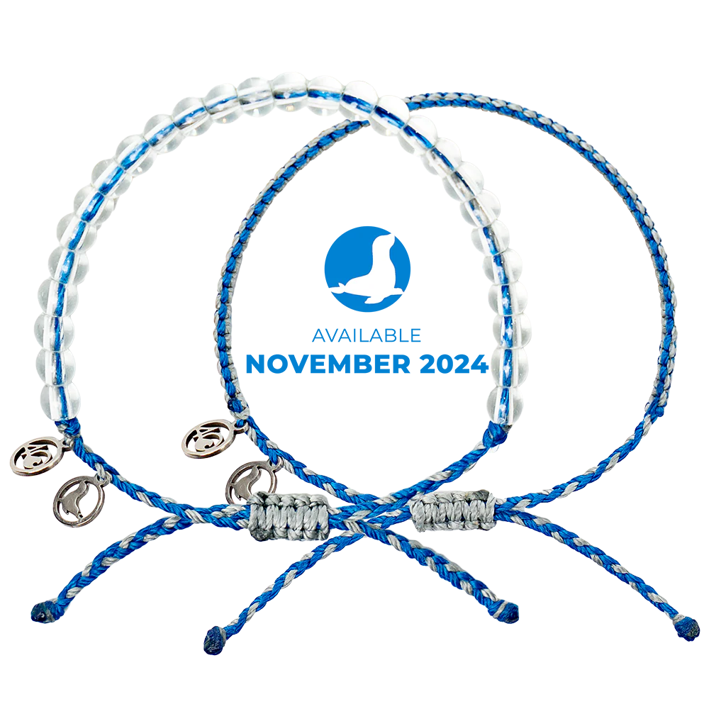 2024 Seal Bracelet | Limited Edition | 4ocean Bracelet of the Month