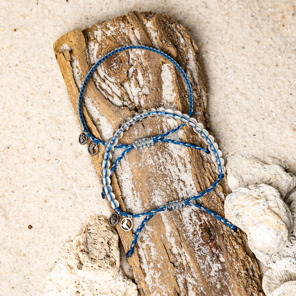 2024 Seal Bracelet | Limited Edition | 4ocean Bracelet of the Month - Image 11