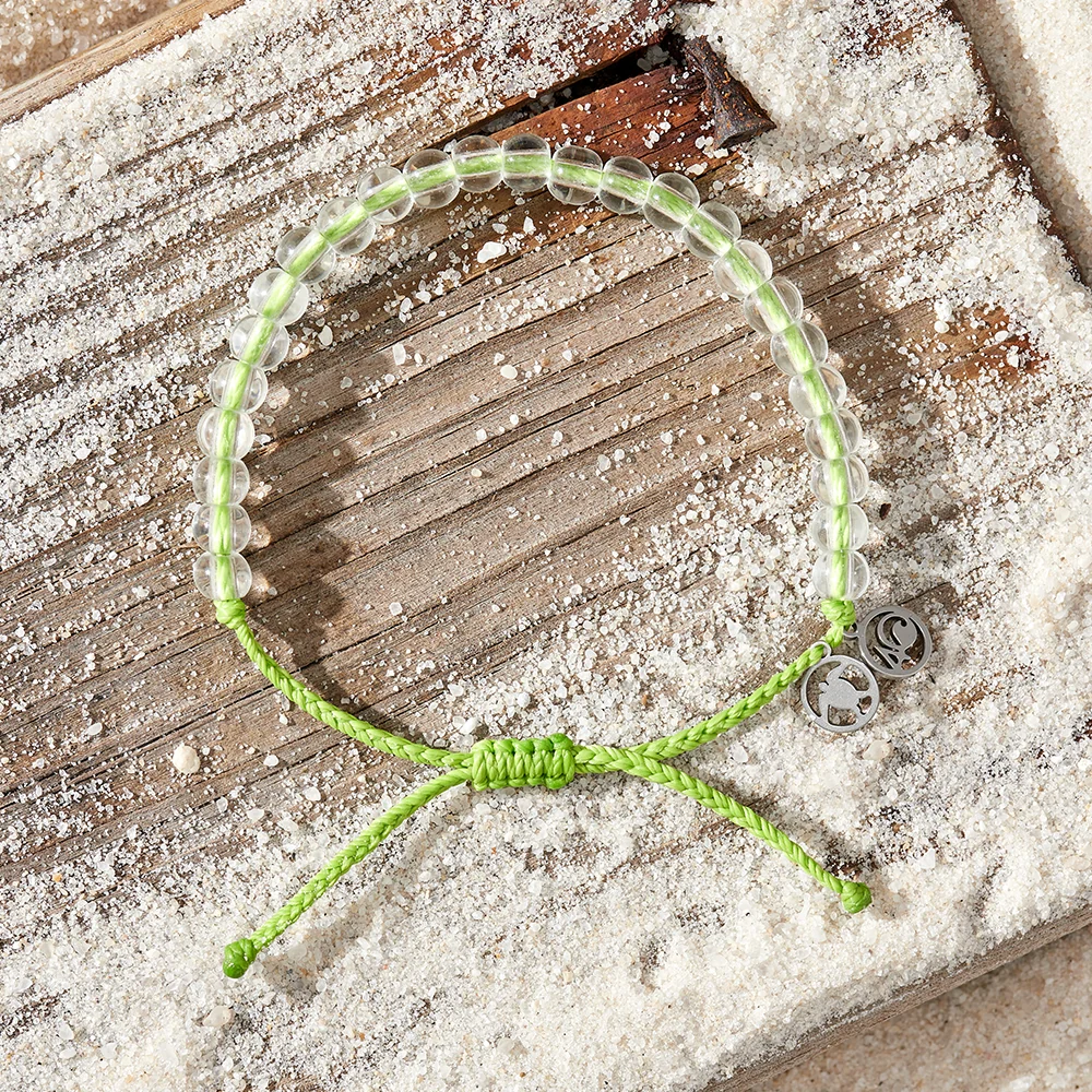 Turtle Love Bundle - Image 11