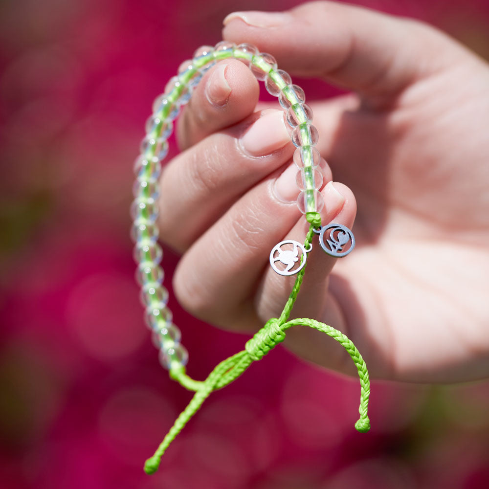 Turtle Love Bundle - Image 12