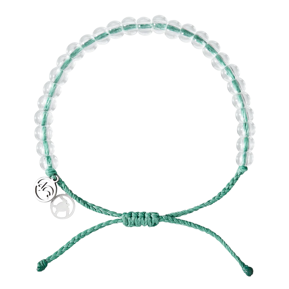 Turtle Love Bundle - Image 3