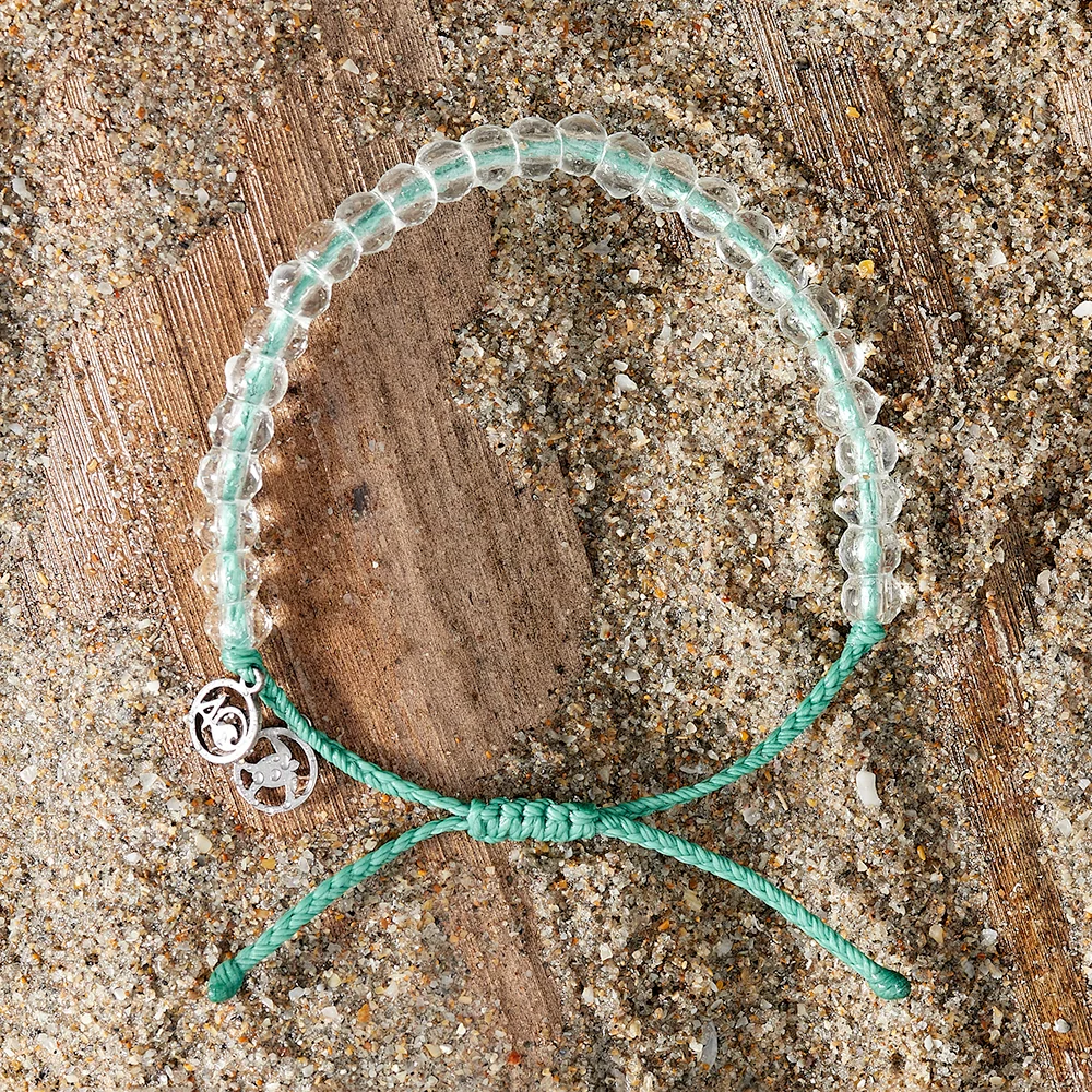 Turtle Love Bundle - Image 9